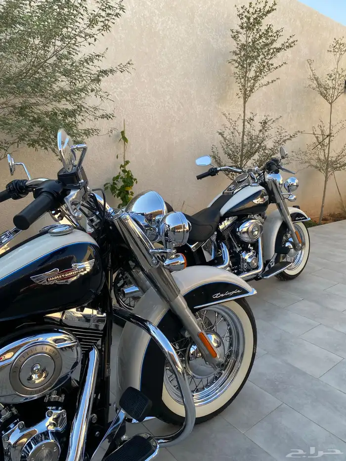 للبيع هارلي سوفتيل ديلكوس 2012 22
