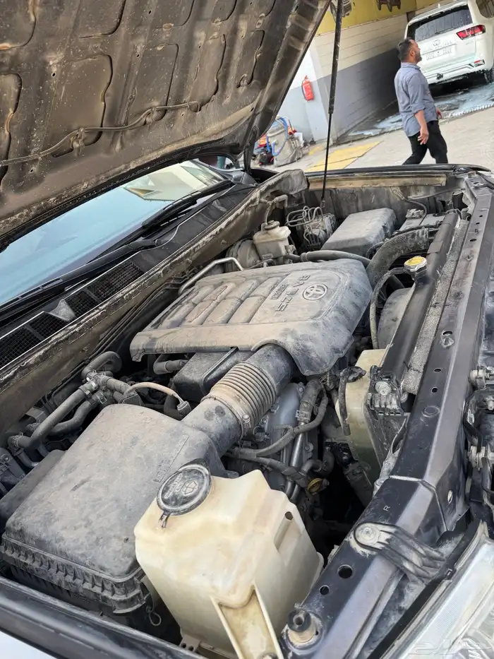 للبيع سكويا. 2015 12