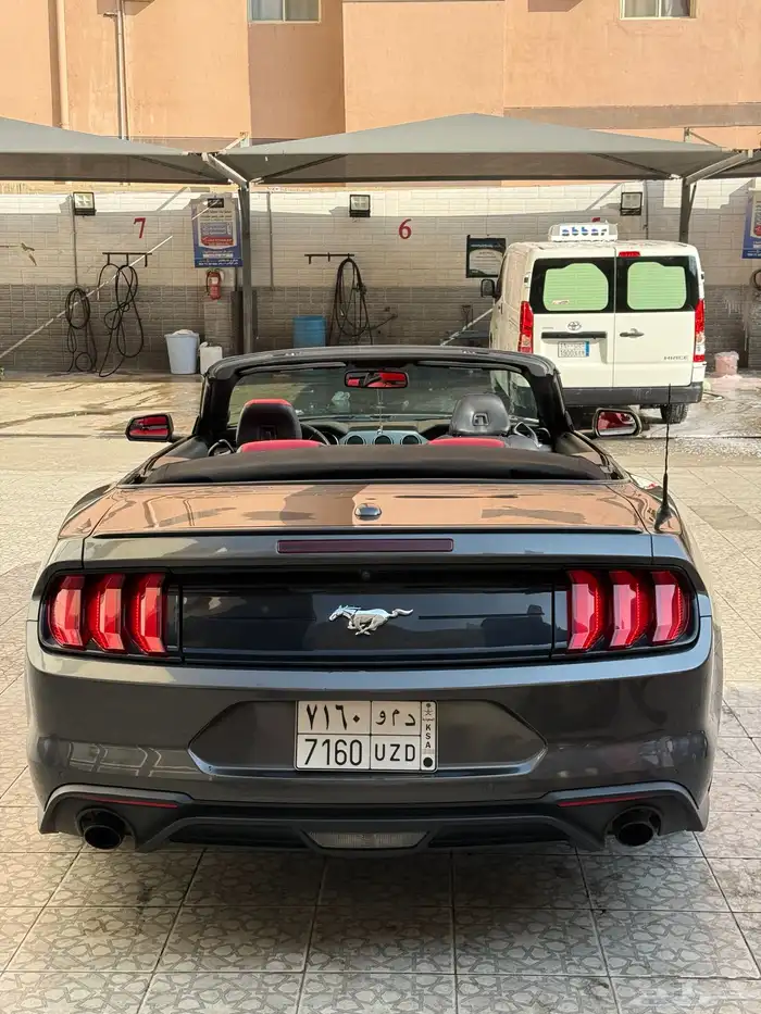 موستنج 2018 كشف 12