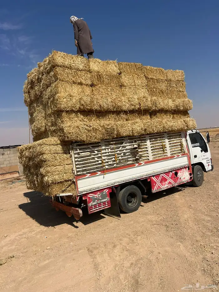 تبن بر صافي ناعم 0