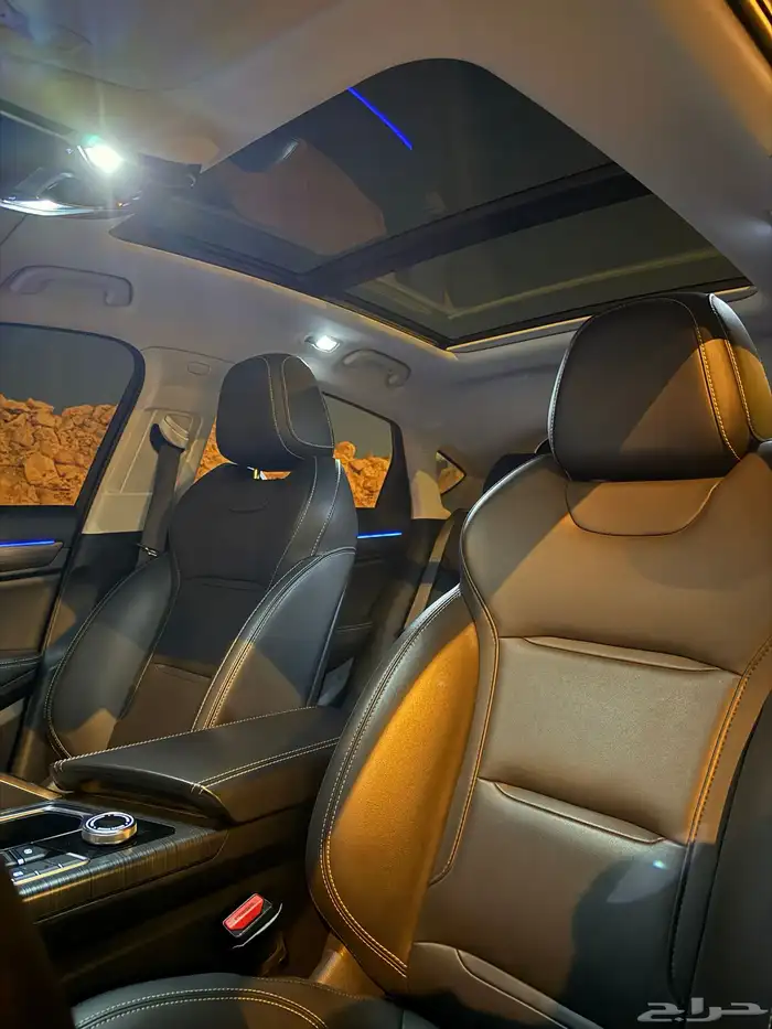 جيلي توجيلا 19