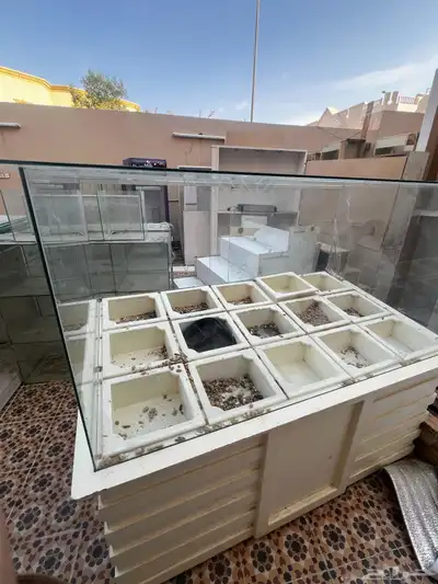 محل كامل index