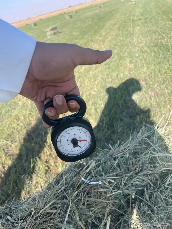 بلوبنك علف 2