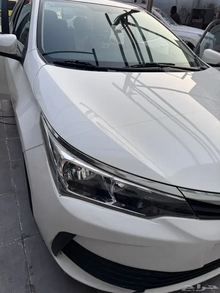 كرولا لولوي 2019 نص فل بودي بلد 8