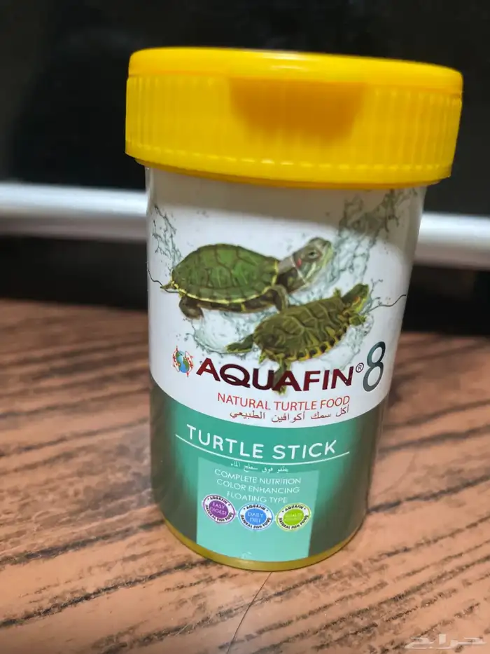 سلحفاة صغيره برمائية 1