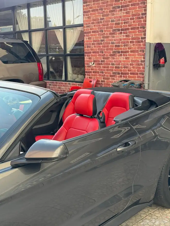 موستنج 2018 كشف 6