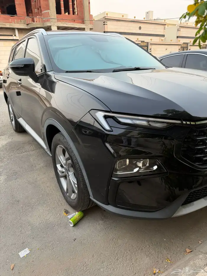 فورد تيرتوري 3