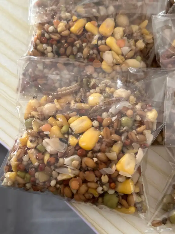 اكل طيور منقوع بذور 0