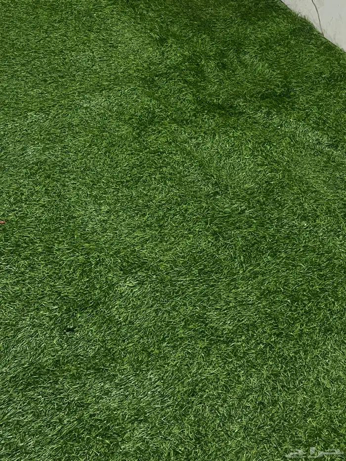 عشب ارضي مقاس 3في 6 سعر البيع ( 350) غير قابل للتفاوض 0