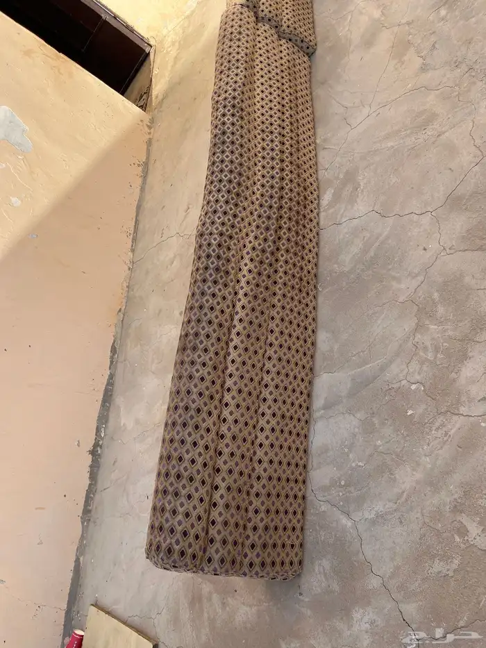 سلام عليكم اعرض لكم كنبات مستعلمه 0