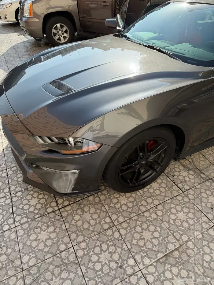 موستنج 2018 كشف 14