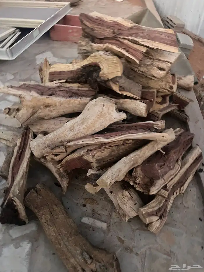حطب افريقي مستورد شبيه السمر 1