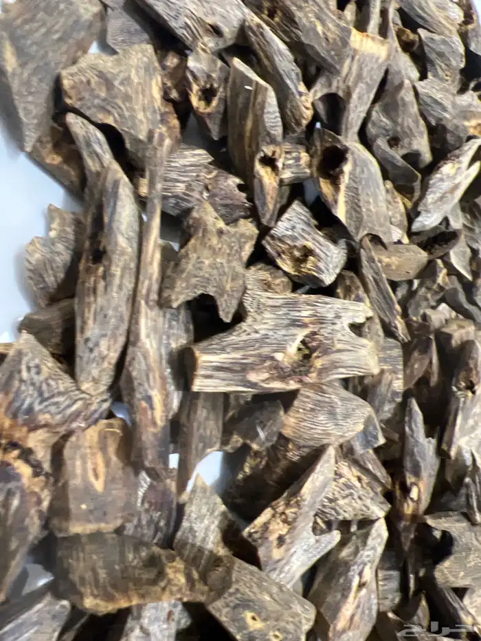 طيب عود كينام اندرووتر نكهه سويتيه زعفرانيه قديمه جدا بخور 2