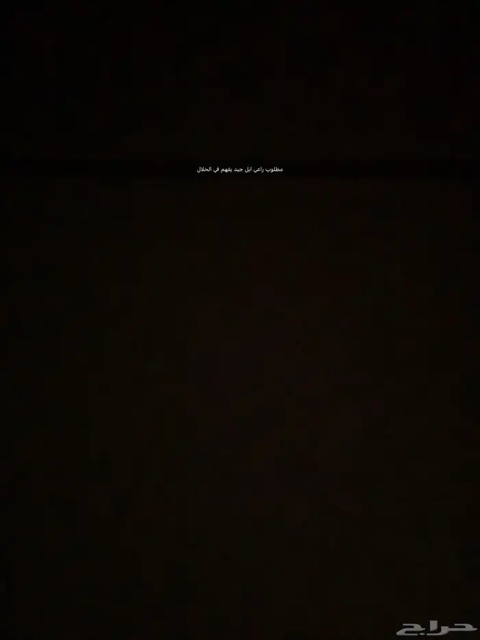 مطلوب راعي ابل جيد يفهم في الحلال 0