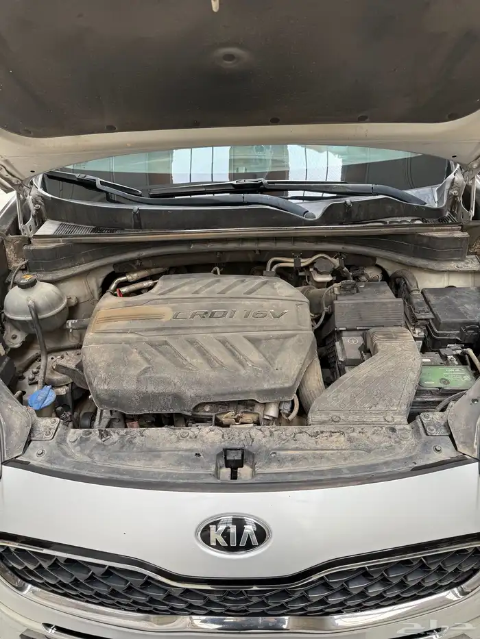 سبورتاج 2019 15