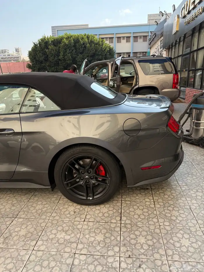 موستنج 2018 كشف 17