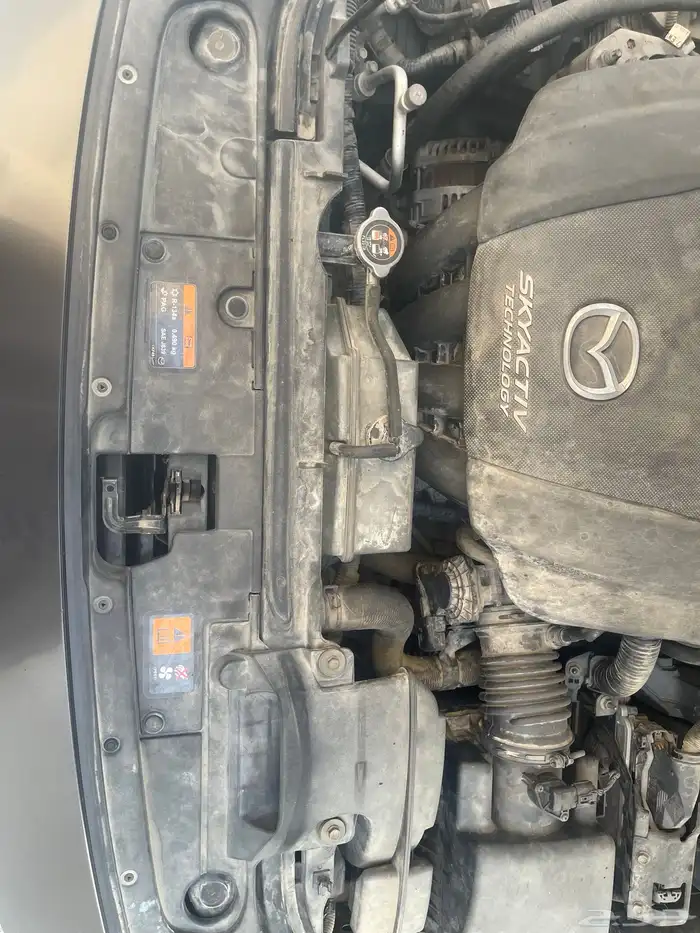 مازدا 6 شد بلد 30