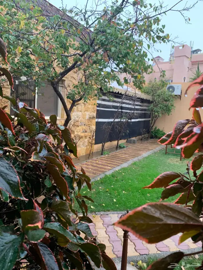 إستراحة الهدا للإيجار اليومي 10