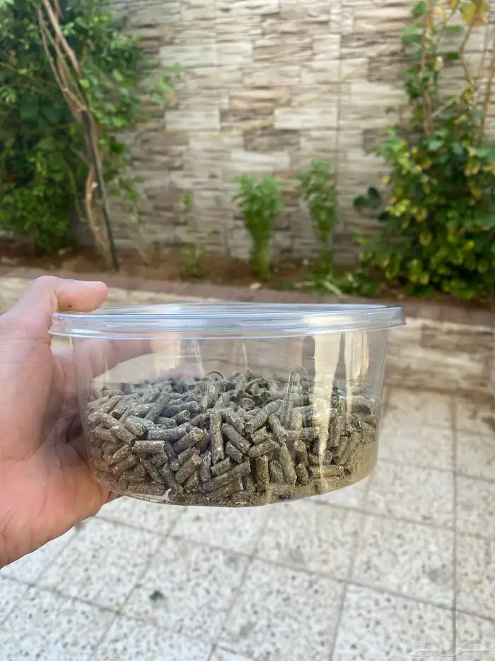 ارنبين للبيع 5