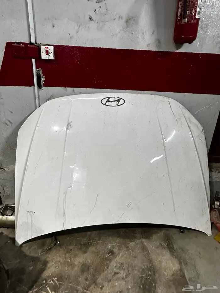 كبوت اكست 2025 0