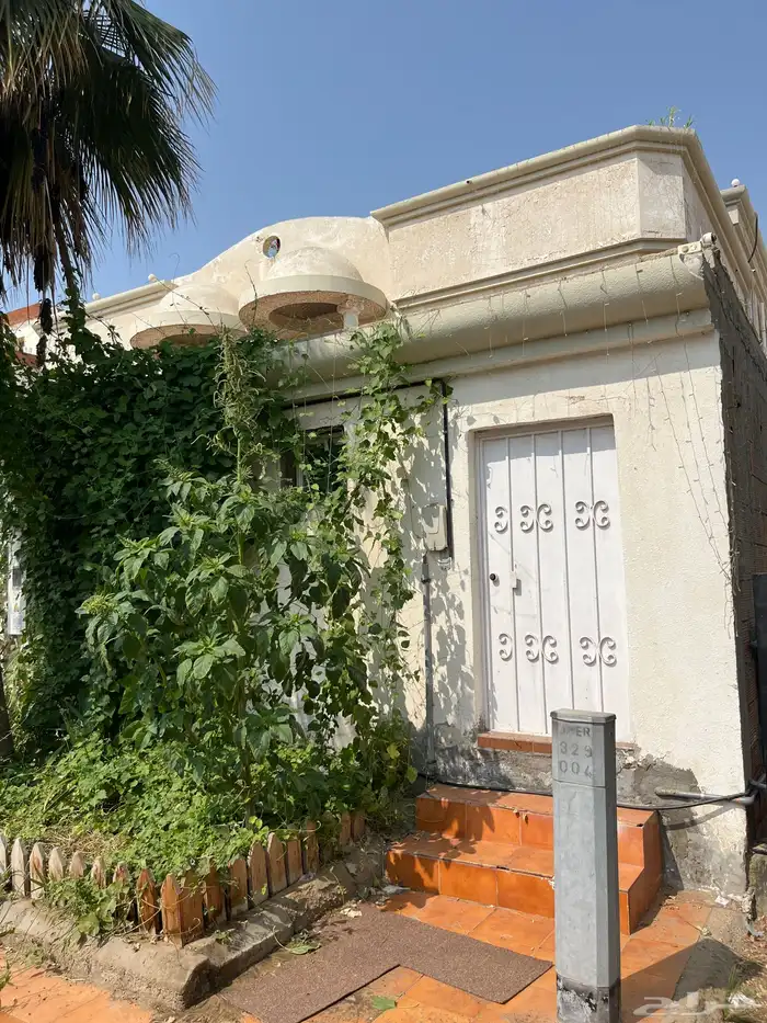 المحمديه غرفه للايجار 0