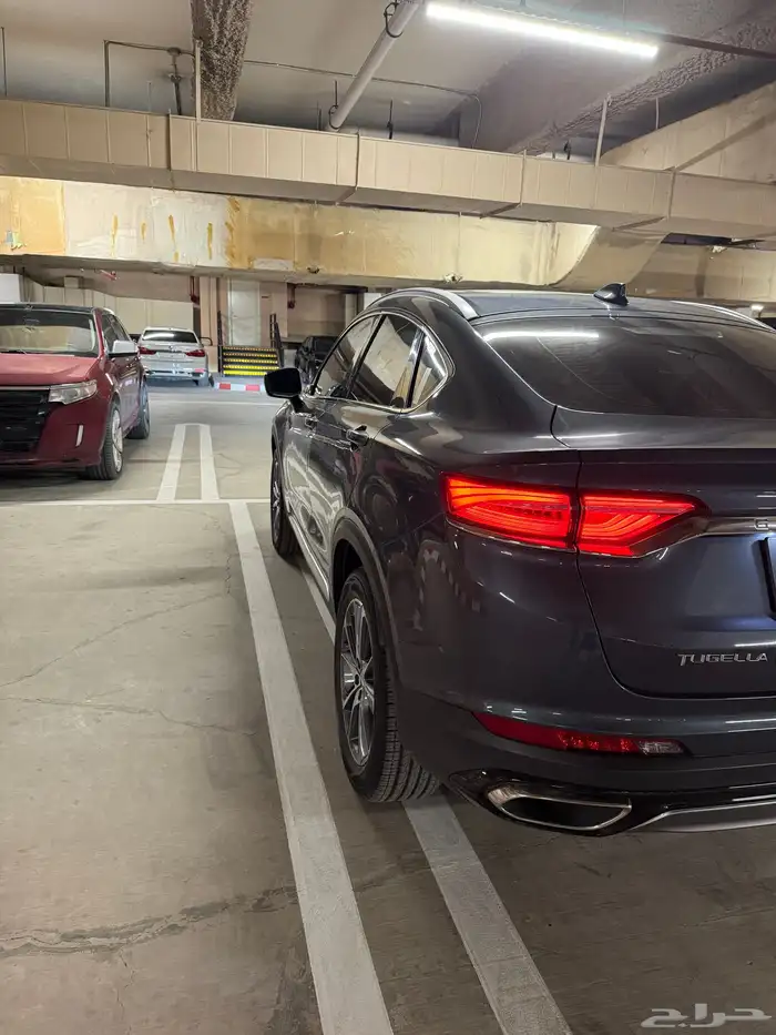 جيلي توجيلا 11