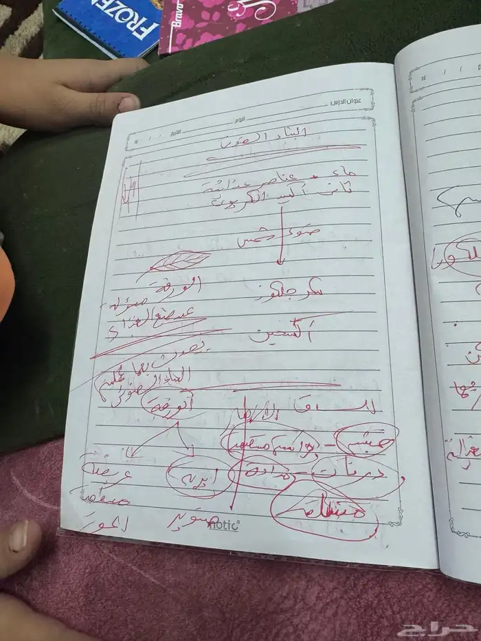 مدرسه خصوصيه في خميس مشيط 9