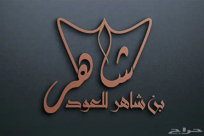مصمم شعارات سعودي خبرة 5سنوات 13