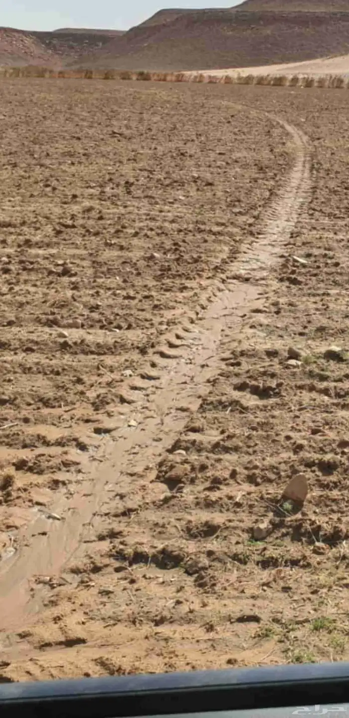 رشاش 4 ابراج كهرب واصل للايجار 0