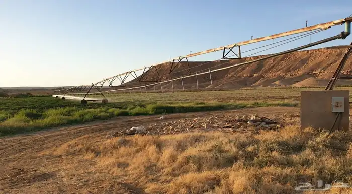 رشاش 4 ابراج كهرب واصل للايجار 2