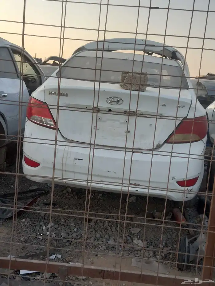 قير اكسنت شد بلد وكاله علي الشرط 0