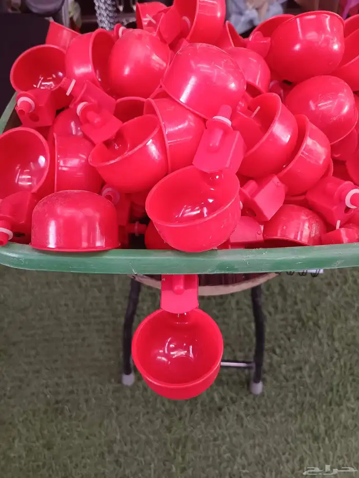 مستلزمات طيور وحيوانات الليفه 4