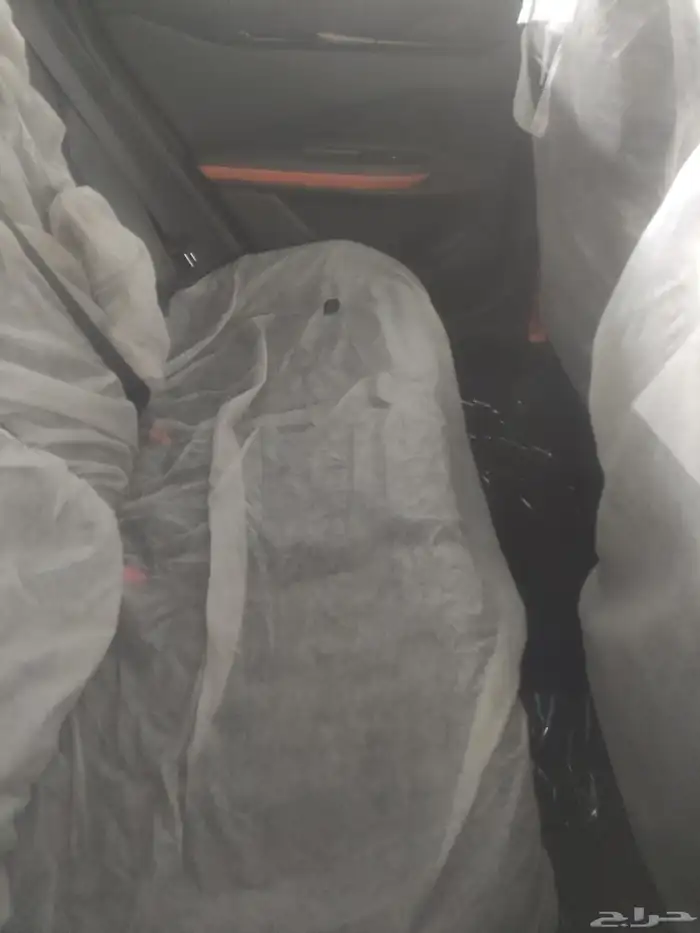 شانجان يوني في اسبورت 2026 7