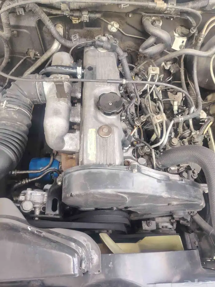 مش وبشي غمارتين 6