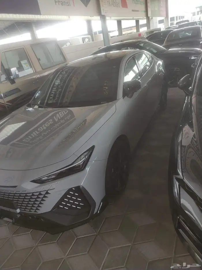 شانجان يوني في اسبورت 2026 1