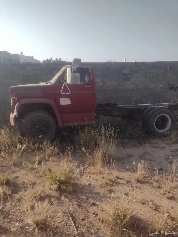 لوري جمس قصير 0