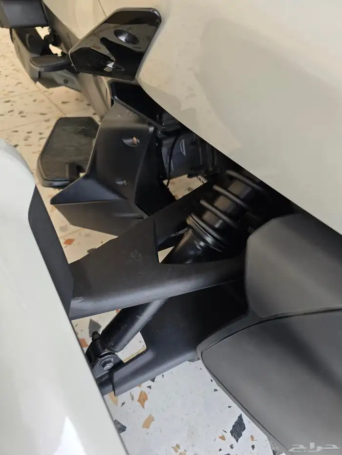 2021 كانام سبايدر ارتي ليمتد 7