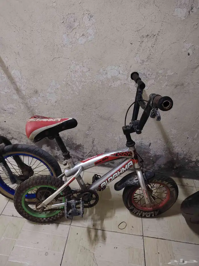 للبيع سيكلين كوبرا مقاس 50 وثاني وسط 1