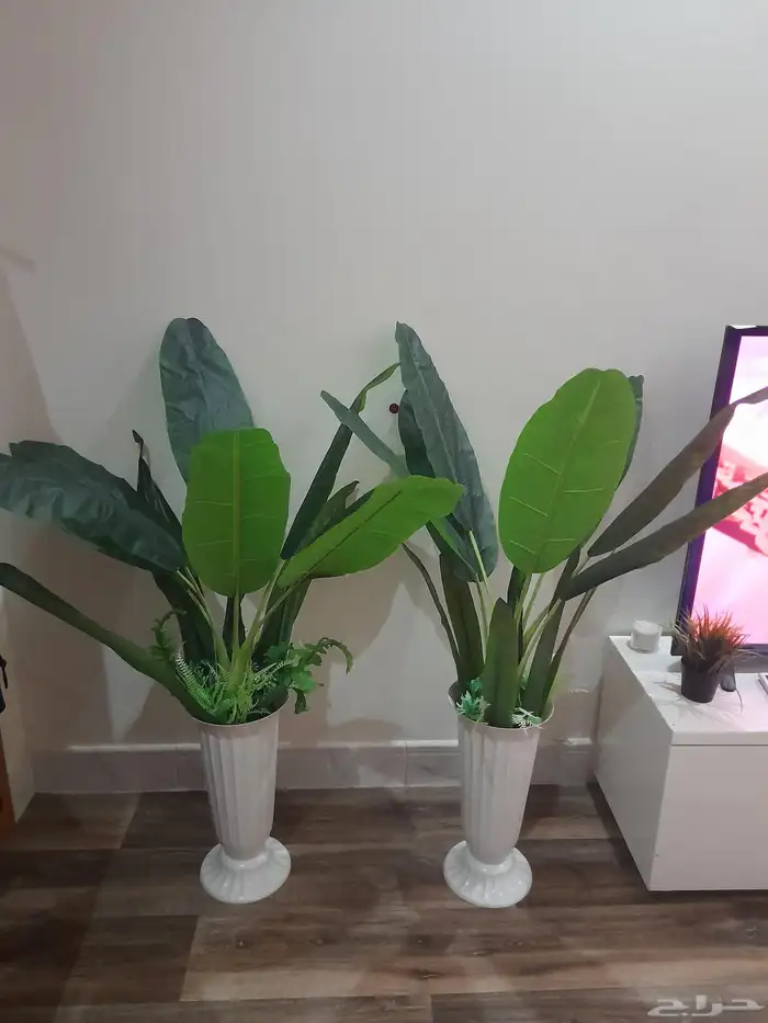 أشجار زينه ورد تحف 5