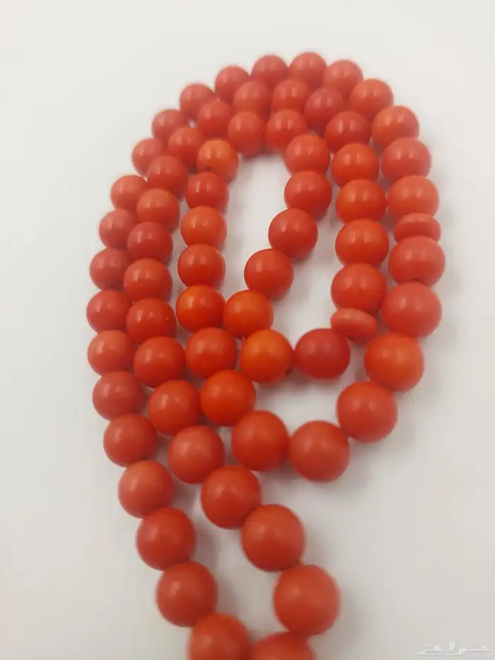 سبخة مرجان ايطالي فاخر 1