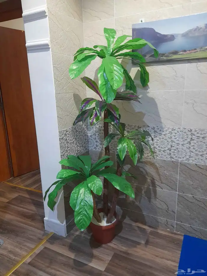 أشجار زينه ورد تحف 6