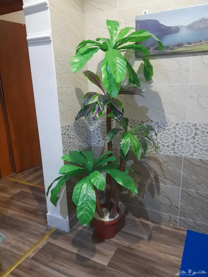 أشجار زينه ورد تحف 7