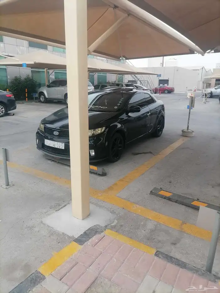 للبيه سيراتو كوبيه 8