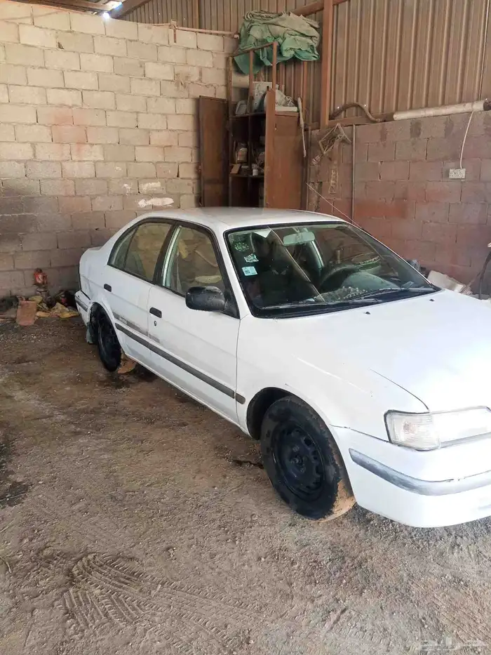 ترسل للبيع 3