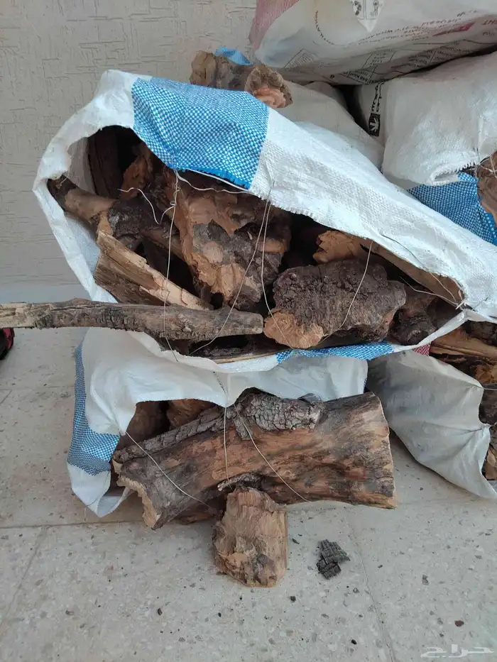 يابس زيتون حطب 3