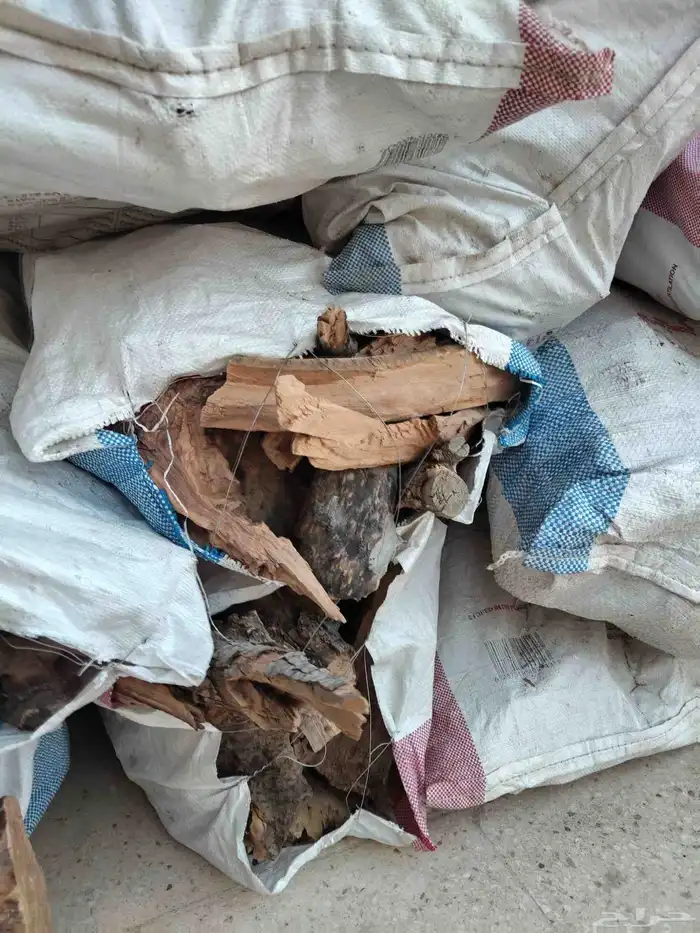 يابس زيتون حطب 0