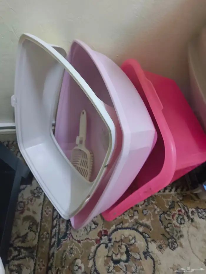 cat accessories and 10 kg dry food 4