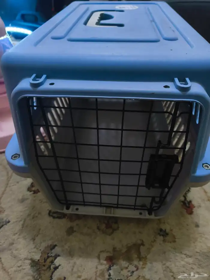 cat accessories and 10 kg dry food 1