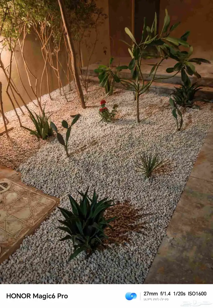 الزراعة الثيل الطبيعي وتركيب شبكات الري العادي والاتوماتيك 6