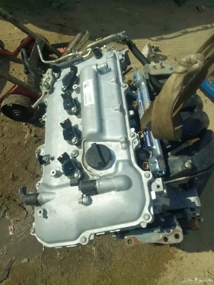 مكنية كوريلا موديل 2019 0